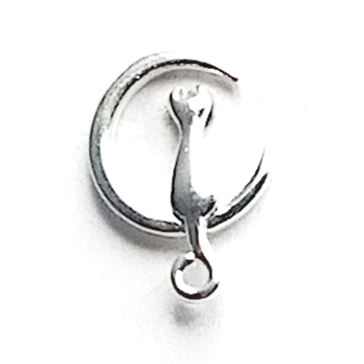 Cat on the moon Earrings